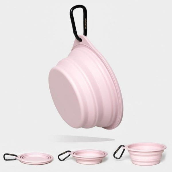 Silicone Foldable Travel Bowl