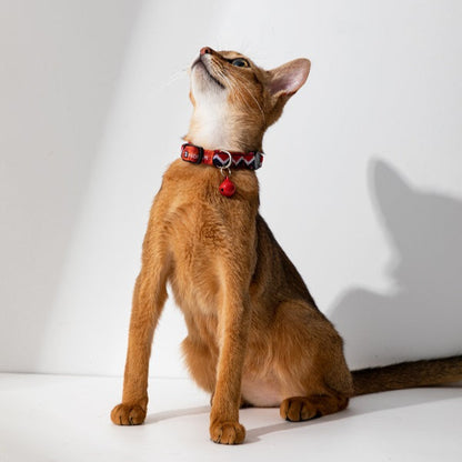 Rainbow Series - Cat Collar