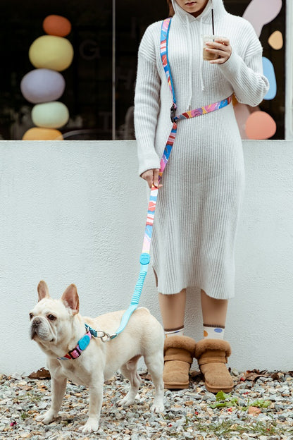 Colorful Series - Buffer Traction & Soft Handle Dog Leash