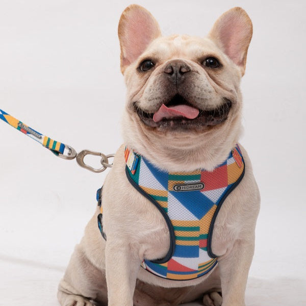 Square Series - I Shape Dog Harness