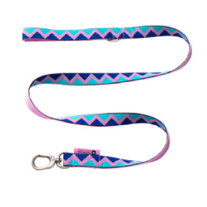 Rainbow Series - Dog Leash