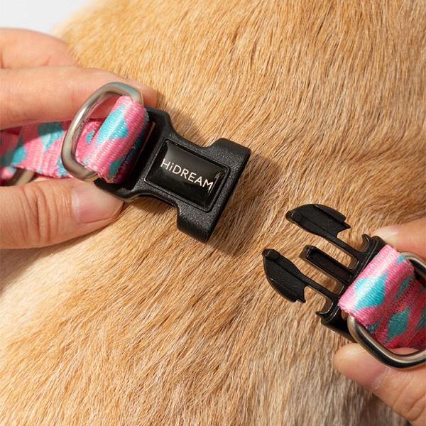 Colorful Series - Y Shape Dog Harness