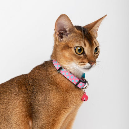 Colorful Series - Cat Collar