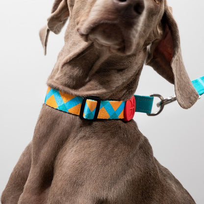 Colorful Series - Reflective Dog Collar