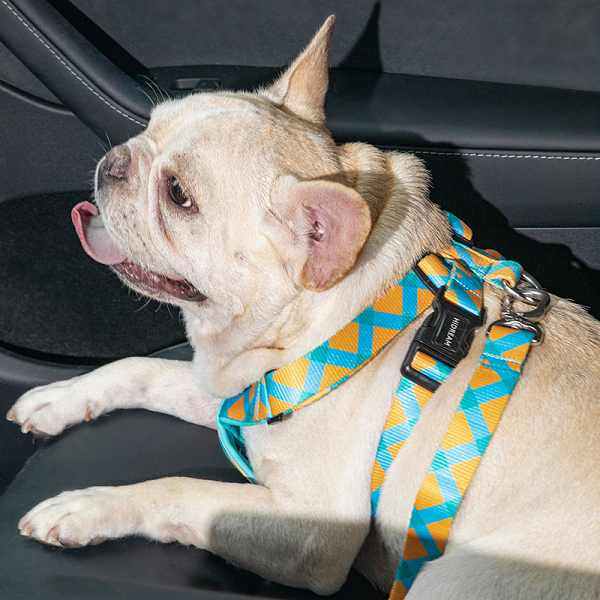 Colorful Series - Pet Seat Belt