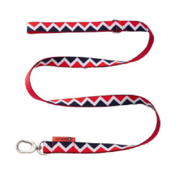 Rainbow Series - Dog Leash