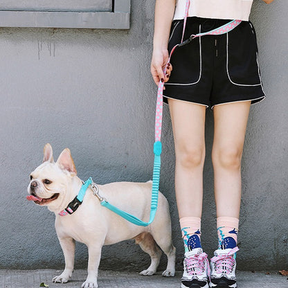 Colorful Series - Buffer Traction & Soft Handle Dog Leash