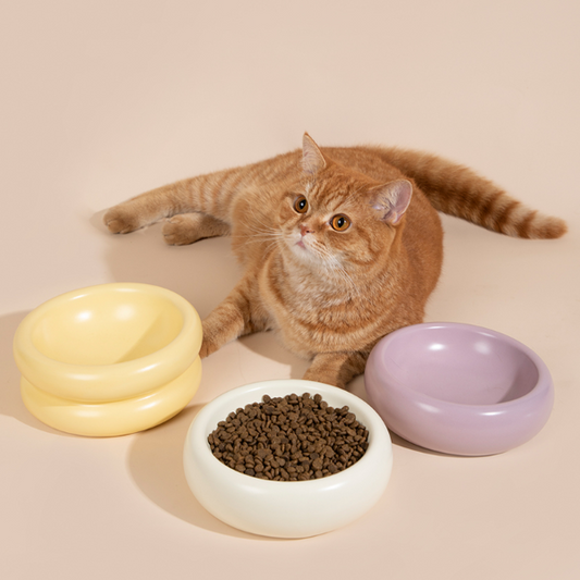 Donut Ceramic Pet Bowl  (Single layer / Double layer)