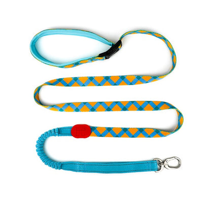 Colorful Series - Buffer Traction & Soft Handle Dog Leash