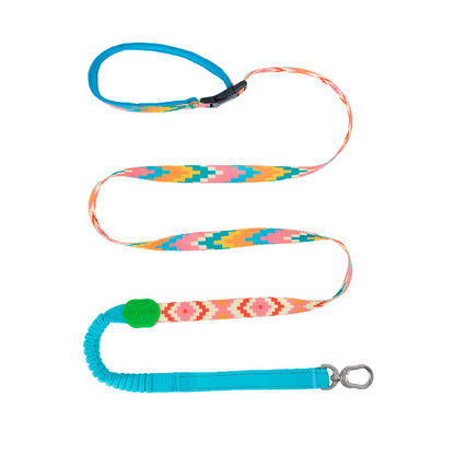 Colorful Series - Buffer Traction & Soft Handle Dog Leash