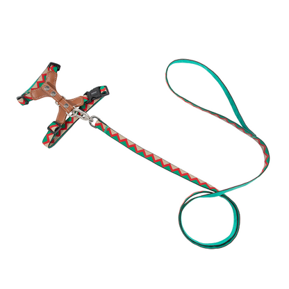 Rainbow Series - Leather Cat Harness & Leash