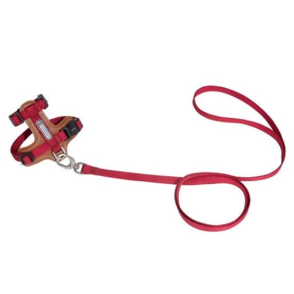 BoBo Series - Cat Leather Harness & Leash