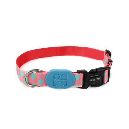 Colorful Series - Dog Collar