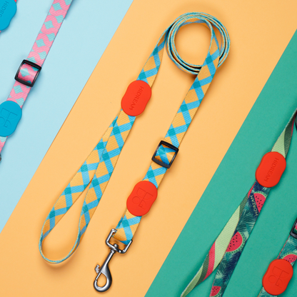 Colorful Series - Adjustable Dog Leash