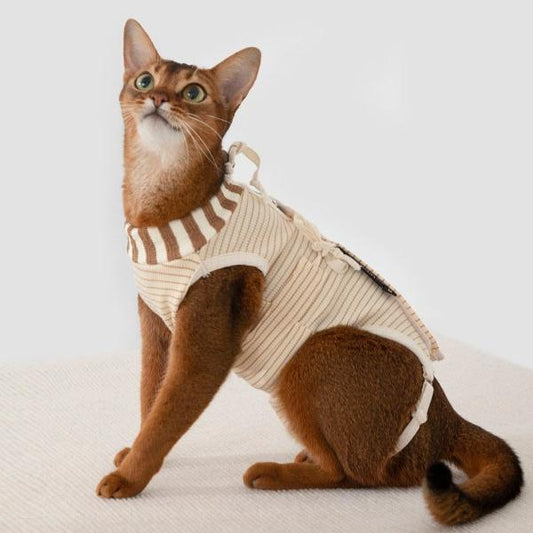 Cat Surgical Gown