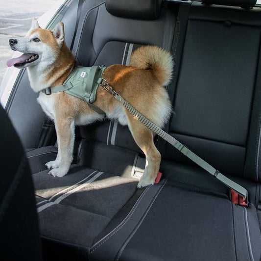 Valley Series - Pet Seat Belt