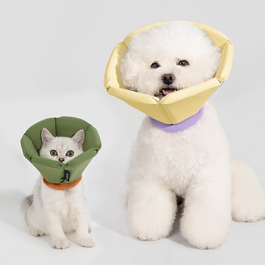 Sponge Taper Elizabethan Pet Recovery Collar