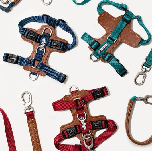 BoBo Series - I Shape Dog Leather Harness