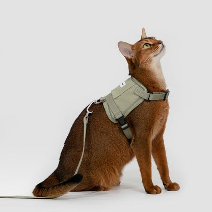 Valley Series - Small Vest Cat Harness & Leash