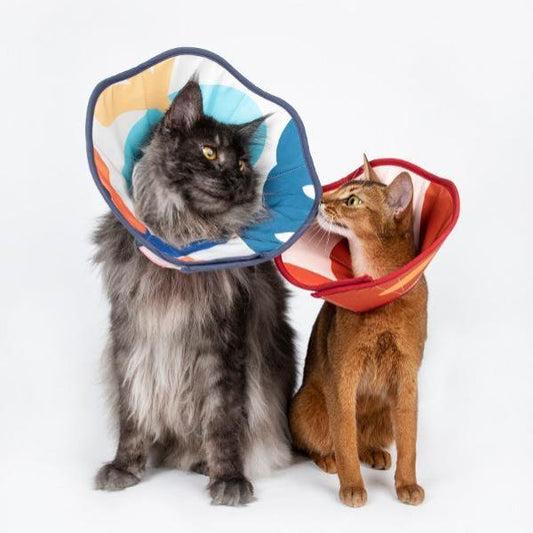 Taper Adjustable Elizabethan Pet Recovery Collar