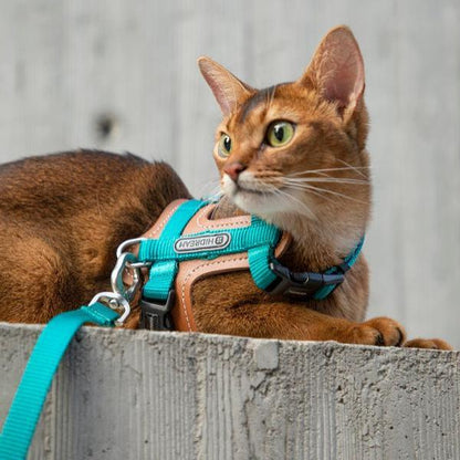 BoBo Series - Cat Leather Harness & Leash