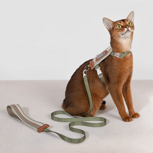 Bobo Series -  Striped Cat Harness & Leash