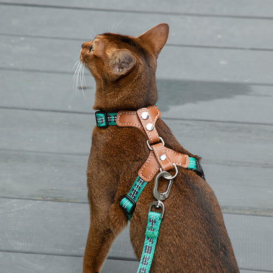 Bobo Series -  Reflective Leather Cat Harness & Leash