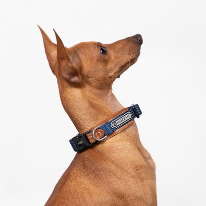 BoBo Series - Leather Dog Collar