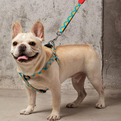 Colorful Series - Adjustable Dog Leash