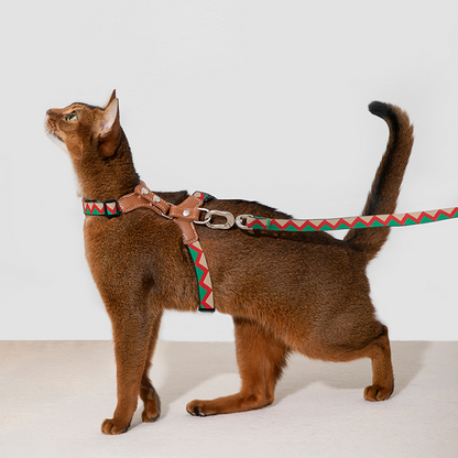 Rainbow Series - Leather Cat Harness & Leash